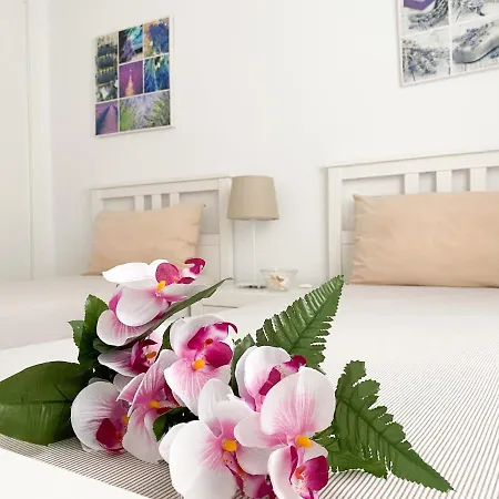 Apartment Pelicanos' Relax 300mt To The Puerto del Carmen (Lanzarote)